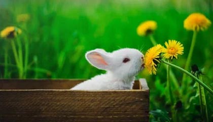 2025乐鱼体育网址AC米兰球员集体训练备战下赛季，全力冲击意甲亚军