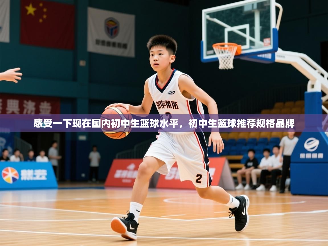 2025乐鱼体育登录网页入口感受一下现在国内初中生篮球水平,初中生篮球推荐规格品牌 第1张