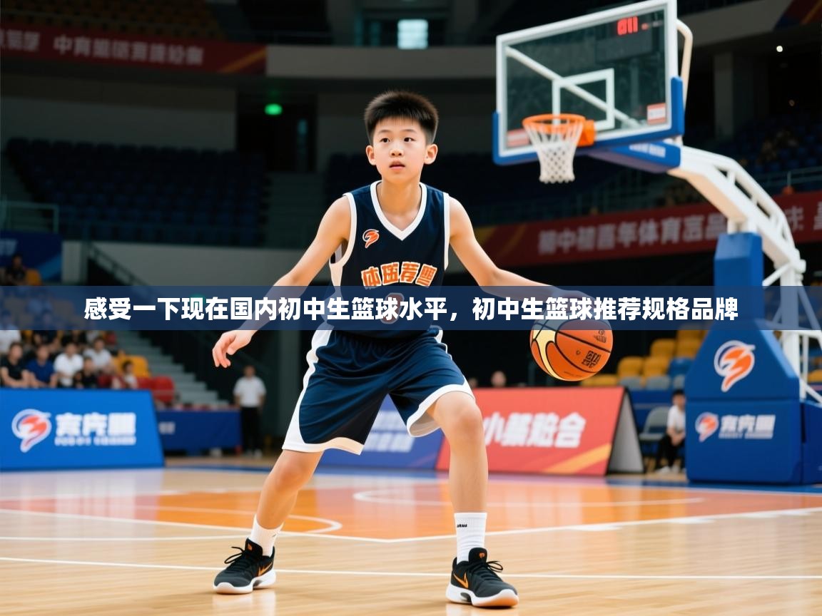 2025乐鱼体育登录网页入口感受一下现在国内初中生篮球水平,初中生篮球推荐规格品牌 第2张