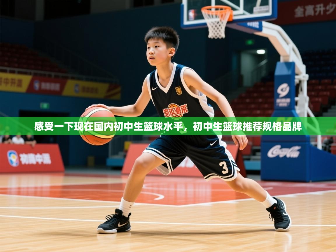 2025乐鱼体育登录网页入口感受一下现在国内初中生篮球水平,初中生篮球推荐规格品牌 第3张