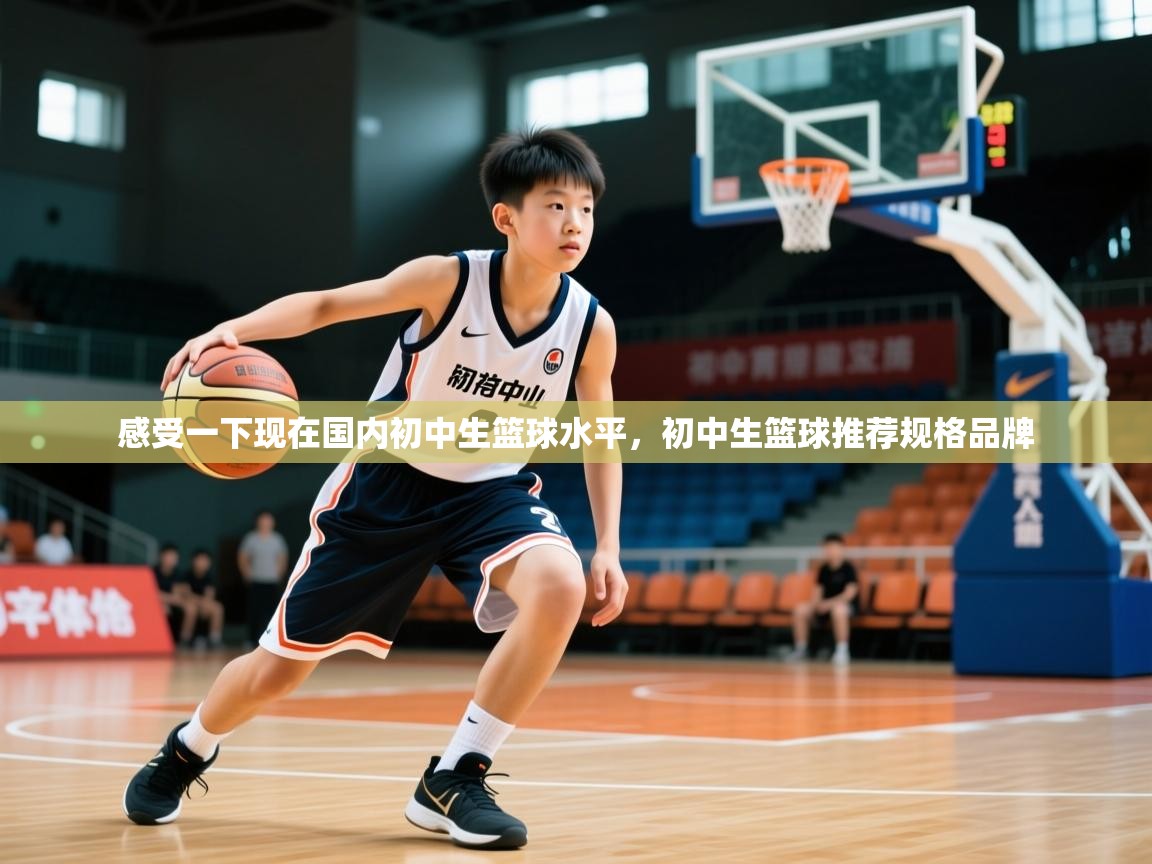 2025乐鱼体育登录网页入口感受一下现在国内初中生篮球水平,初中生篮球推荐规格品牌 第4张