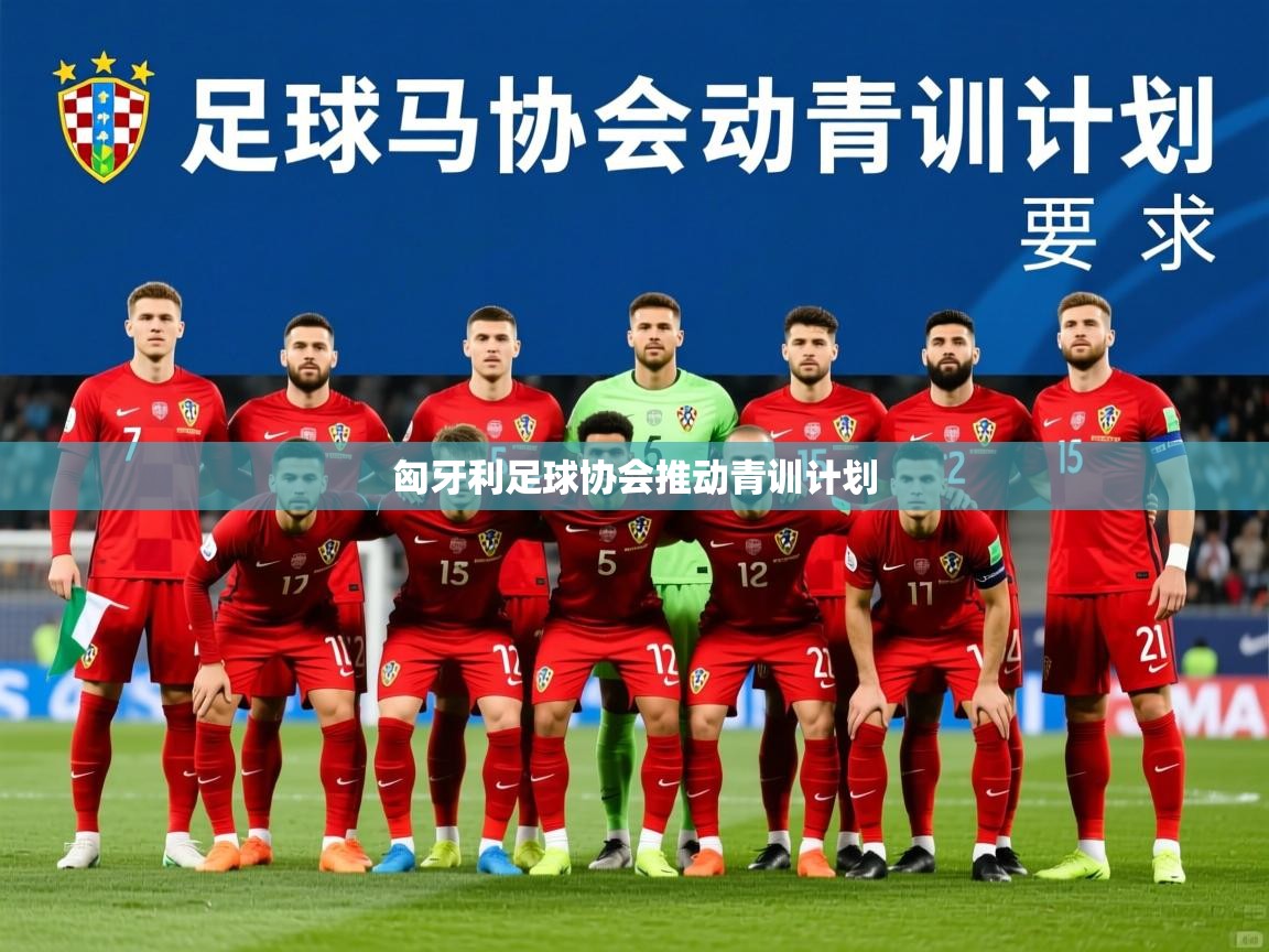 2025乐鱼体育在线下载匈牙利足球协会推动青训计划  第2张