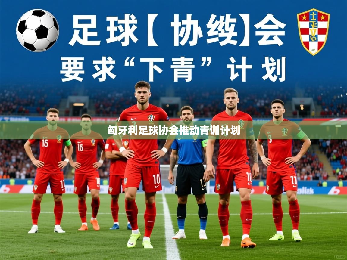 2025乐鱼体育在线下载匈牙利足球协会推动青训计划  第1张