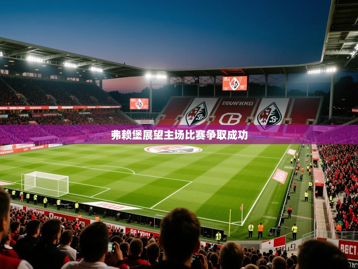2025乐鱼体育 vip 注册弗赖堡展望主场比赛争取成功  第1张
