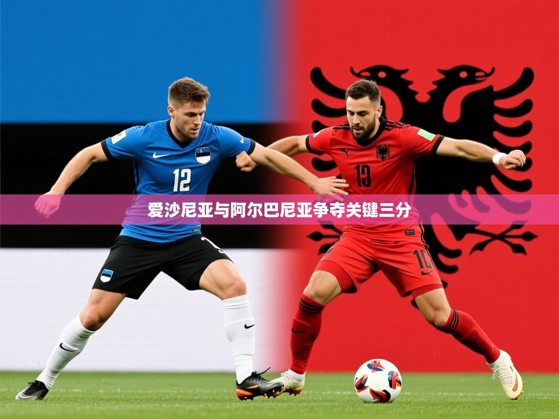 2025乐鱼体育在线登陆爱沙尼亚与阿尔巴尼亚争夺关键三分  第1张