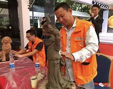 精湛技艺看得见！劲旅对抗看得透的简单介绍